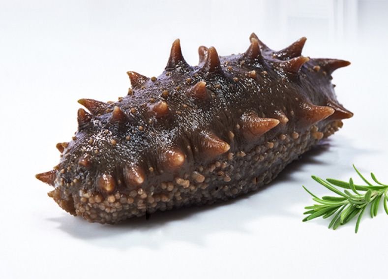 这片海鲜食海参